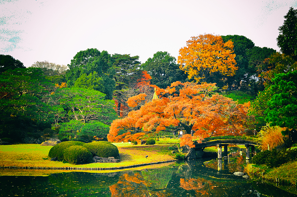 View of Rikugi-en in autumn.